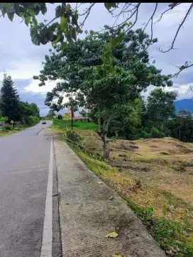 Jual Tanah kosong Jln Raya ke Pangururan lokasi pinggir danau Toba