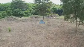 Dijual Tanah di Bunder Cikupa, Tangerang - Banten.