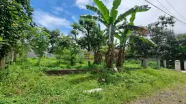 Harga Per Meter Tanah di BPPB Bogor Tengah Kota, Nego SHM