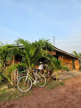 Sepeda lipat fixie single speed