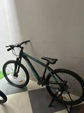 Sepeda Gunung Genio M241
