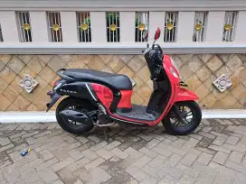 Honda Scoopy 2021