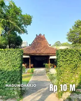 Dijual Rumah Estetik Natural dengan Joglo dan Kolam Renang di Maguwo