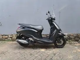 Yamaha grand filano 2023