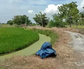 Dijual Lahan Dsn Klampisan Duduk Gresik