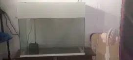 Aquarium Ikan Besar