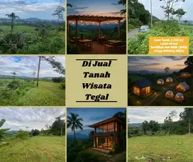 Peluang investasi menarik di Tegal