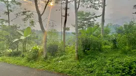 Dijual Murah Tanah Kebun 942 m2 Pinggir Jalan di Bojong Purwakarta