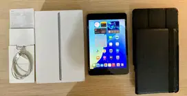 iPad Mini 5 256gb Space Gray Wifi