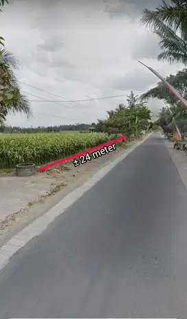 JUAL TANAH SAWAH DEKAT SPBU BANGSRI BLITAR