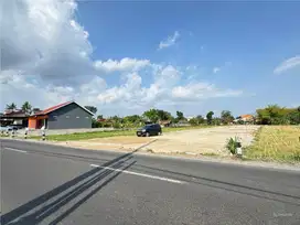 Dijual Tanah Jogja Sleman, Cocok Untuk Hunian Atau Investasi Di Godean