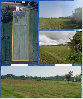 DIJUAL ATAU DISEWAKAN TANAH DI BANTUL