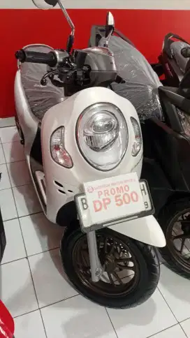 SCOOPY PRESTIGE TH 2024, DP 500 RIBU