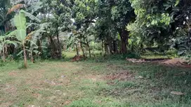 Tanah Kavling Gunung Sindur – Lingkungan Nyaman, Lokasi Menguntungkan!