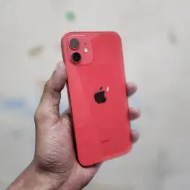 ip 12 64 red ibox