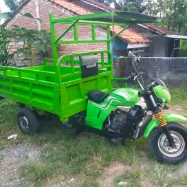 Dijua Viar 200cc long
