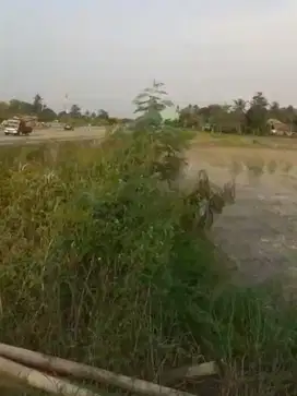 Kavling 3000m2 Pinggir Jalan di Desa Kasunyatan Kasemen Serang