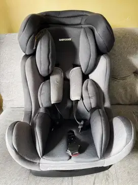 Carseat Babydoes Driver