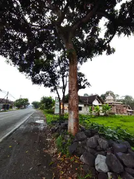 Tanah pinggir jalan provinsi sudimoro bululawang kabupaten malang