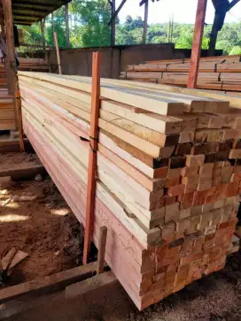 Kayu Proyek kaso balok papan dolken