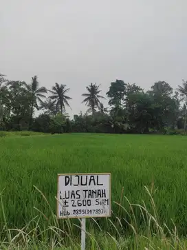 Dijual Tanah ±2600m² SHM di Serang, Lokasi Strategis & Siap Jual!