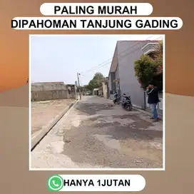 TANAH STRATEGIS BANDAR LAMPUNG DEKAT SEKOLAH UNGGULAN & DEPAN KAMPUS