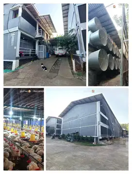 Jual cepat kandang ayam modern meteseh boja kendal