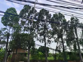 Cocok Buat Gudang! Tanah Pinggir Jalan Raya 2367m Lokasi Strategis