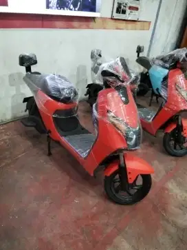 Sepeda listrik D65