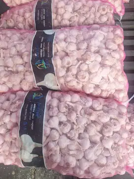 JUAL BAWANG PUTIH DAN BOMBAY