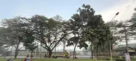 Tanah/Kavling 75000m2 Di Tigaraksa Tangerang, Banten