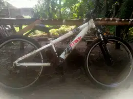 Sepeda gunung 24
