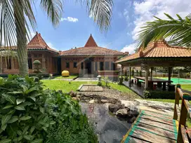 RUMAH VILLA JAVANESSE STYLE DENGAN KEBUN NAN LUAS DI PURWAKARTA