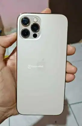 Jual Cepat Iphone 12 Promax 256GB putih ORI/Ibox