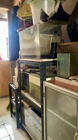 Akuarium dan Rak borongan
