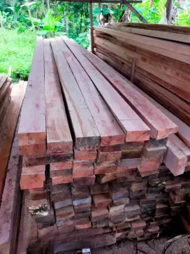Kayu Proyek kaso balok papan