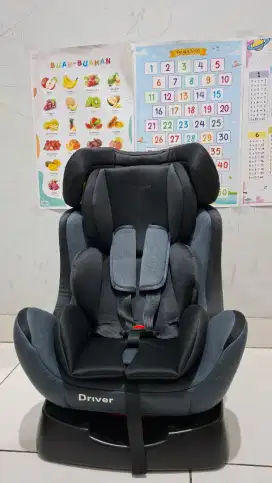 Carseat babydoes driver