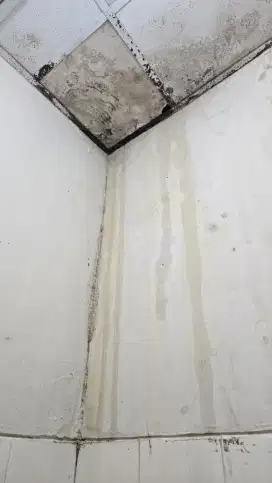 Tukang atap bocor, bajaringan, kanopi, plapon, cat, dinding dll