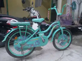 sepeda anak new phoenix