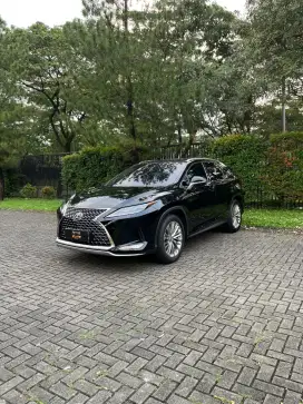 Lexus RX 300 Luxury 2020