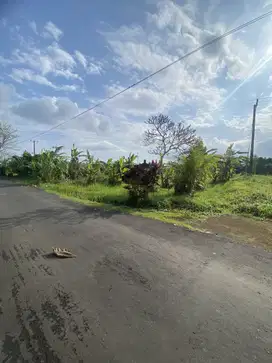 Jual tanah timur pasar bajre selemadeg tabanan