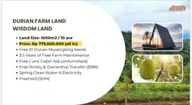 DIJUAL TANAH KAVLING BONUS POHON DURIAN DAN CABIN DI TABANAN