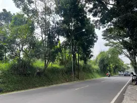 Tanah Produktif Sangat Luas cocok untuk Usaha di Pusat Kota Cianjur