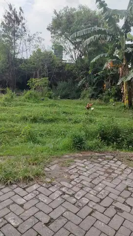 Tanah strategis dalam perumahan dekat RSA UGM, UTY & JCM mall