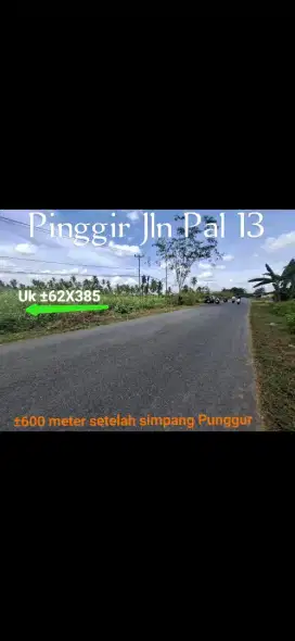 Tanah tepi jalan raya kakap pal 13 ukuran 62 x 385