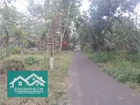 Jual Tanah Pekarangan Murah Cangkringan, 500 ribuan – Alam Pegunungan
