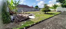 Tanah 2,5 are dekat perumahan Elite dijual, Kerobokan area