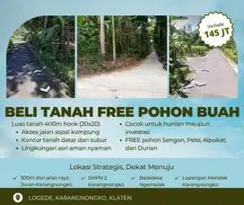 TANAH PEKARANGAN COCOK UNTUK INVESTASI AREA LOGEDE, KARANGNONGKO