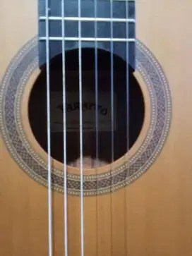 GITAR KLASIK TARANTO T.40