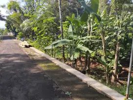 Dijual tanah pekarangan 564m dimojogedang